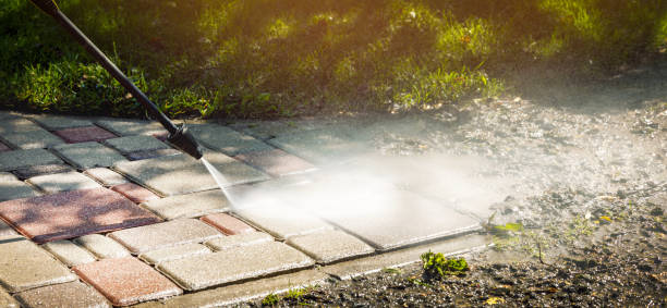 Best Rust Removal  in Grandwood Park, IL